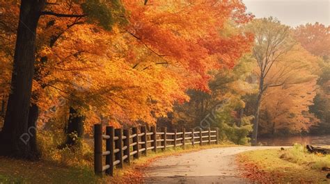 fall scenery images|fall scene background images.